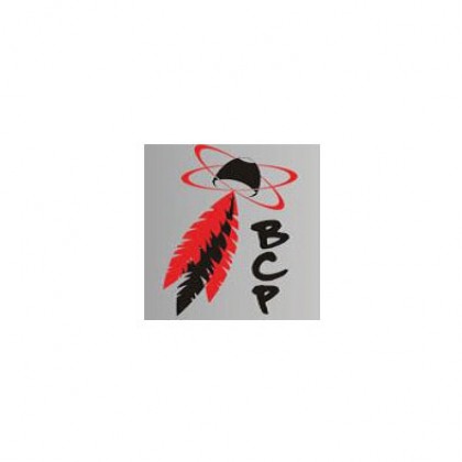 logo_equipe_bcp95.jpg