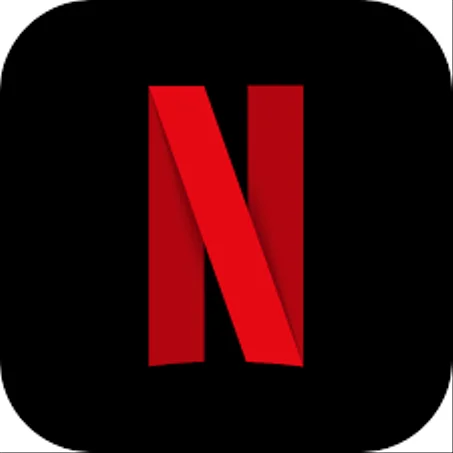 Netflix - 12 month
