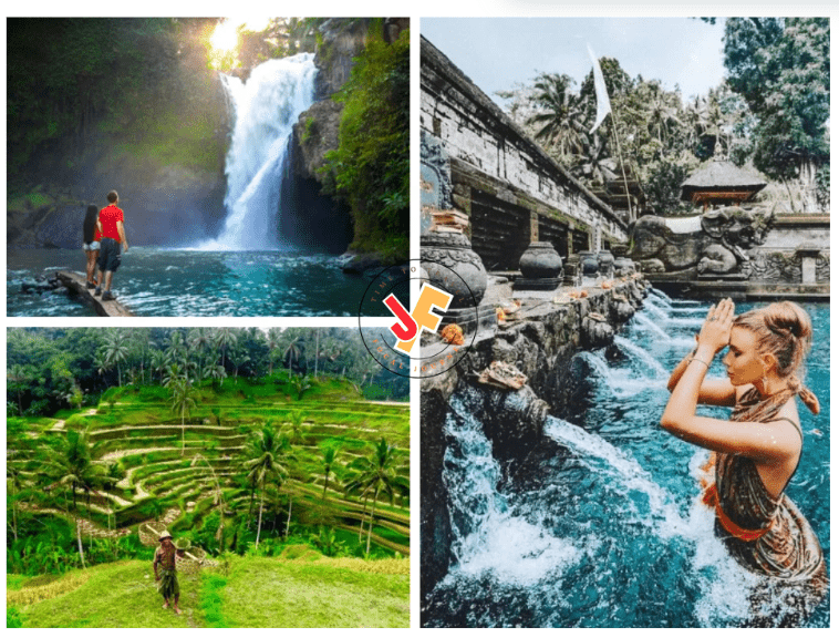 Things to Do in Ubud City Bali Island