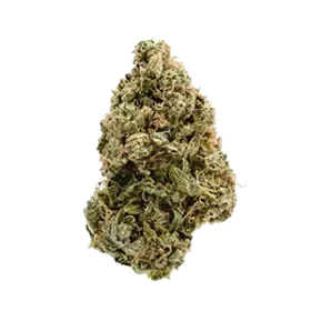 Hybrid
